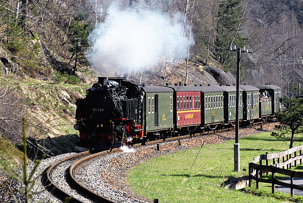 pension_steffi_loebau_schmalspurbahn_zittau-3.jpg 